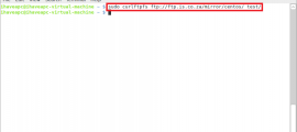 How To Mount Remote FTP Site As A Local Folder From Terminal In Linux Mint / Ubuntu
