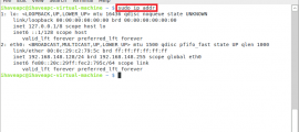 Generating A Report Of Network Interfaces From Linux Terminal