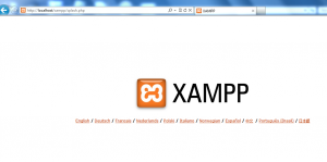 XAMPP page on local web server