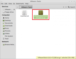How To Install VMware Tools In Linux Mint 13