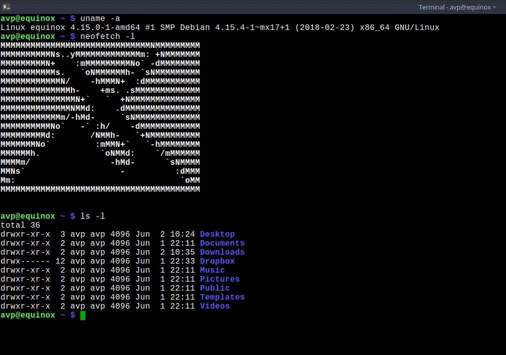 Terminal in MX Linux