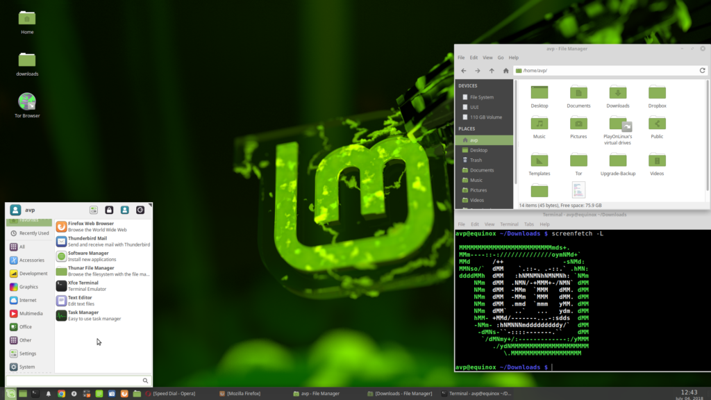 Upgraded to Linux Mint 19 