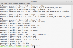 Flush: A GTK Based Bittorrent Client For Linux Mint / Ubuntu