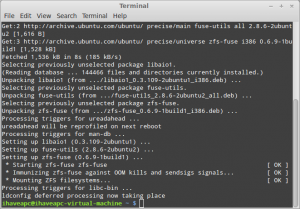 Installing And Using ZFS In Linux Mint / Ubuntu