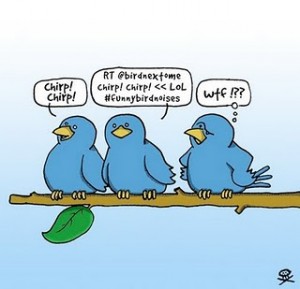 Twitter For Birds : Funny