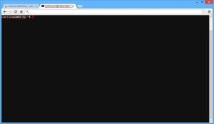 chrome secure shell chrome secure shell