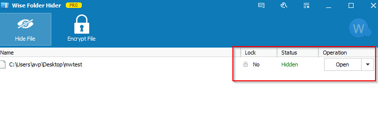 list of files and folders hidden in Wise Folder Hider Pro