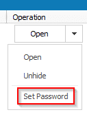 setting individual passwords for hidden files and folders using Wise Folder Hider Pro