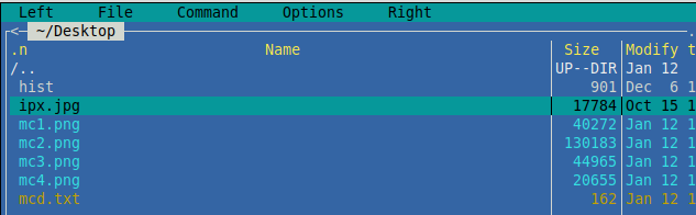 navigating through files and directories using Midnight Commander in Linux Mint