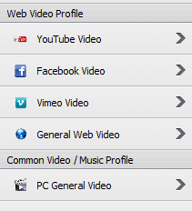 web video profiles in WinX DVD Ripper