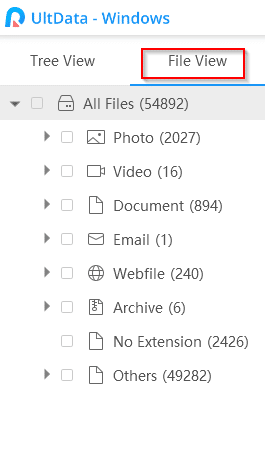 changing to File View to list lost files by file types