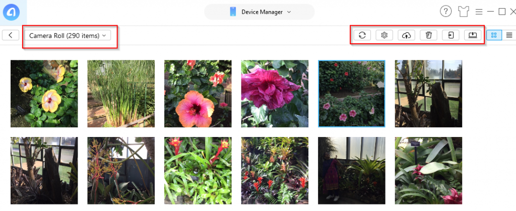 previewing photos from iPad/iPhone and managing them using AnyTrans