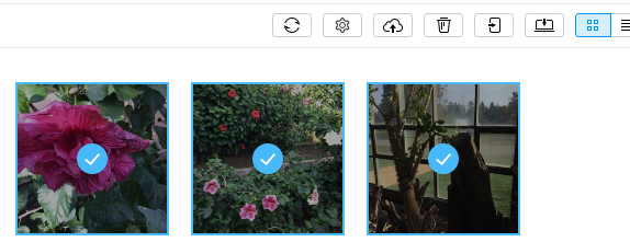 managing selected photos using AnyTrans