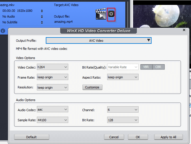 changing advanced options for source videos before conversion using WinX HD Video Converter Deluxe