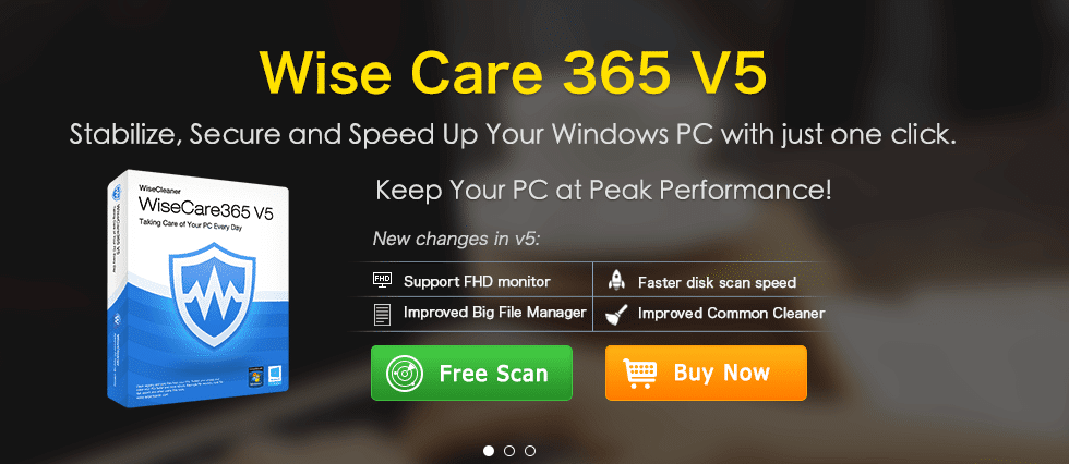 wise cleaner 365 pro