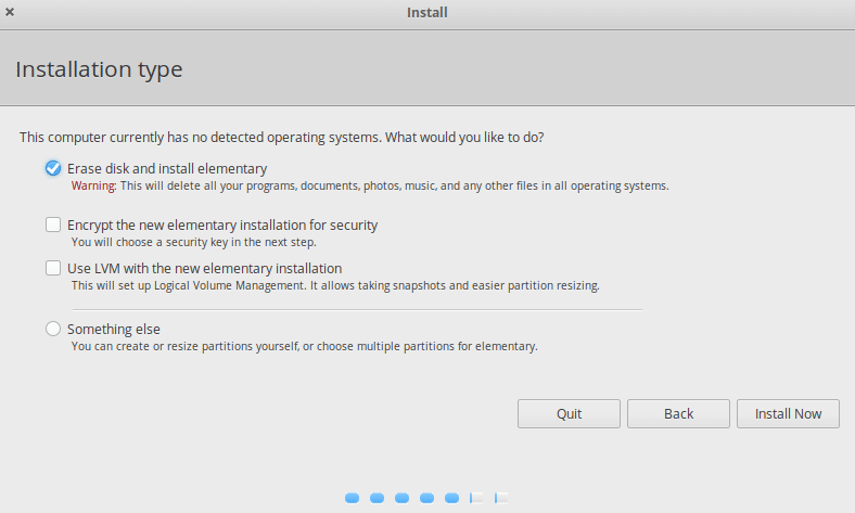 choosing a disk partitioning scheme during elementary OS installation