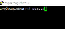 running the screen command from linux command line