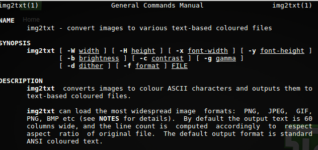 man page for img2txt
