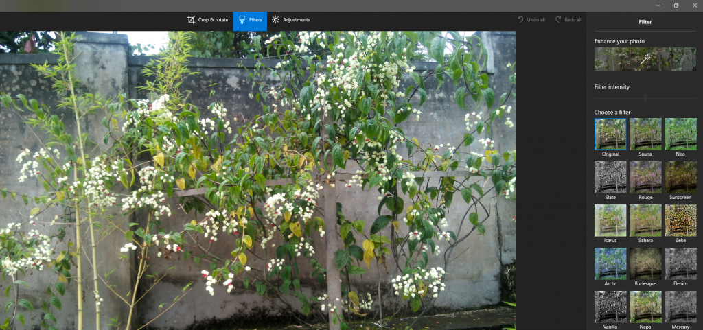 choosing filters for photos in Windows 10 Photos app
