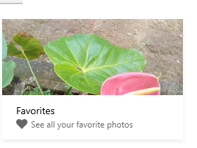 Favorites folder containing various photos in Windows 10 Photos app