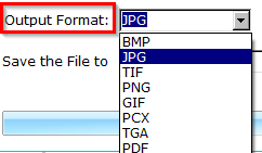 changing the output image format in Batch Word to JPG Converter