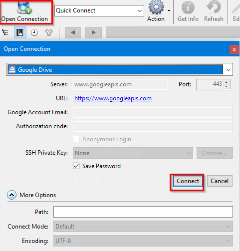 opening a Google Drive connection using Cyberduck