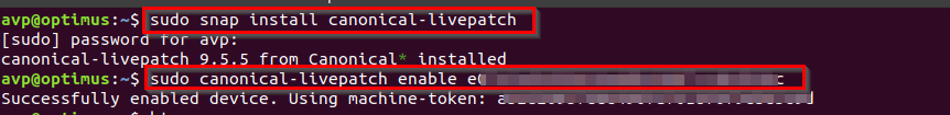entering Canonical Livepatch Service commands from Ubuntu Terminal
