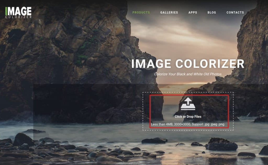 colorize photo online