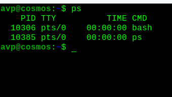 running the ps command in linux