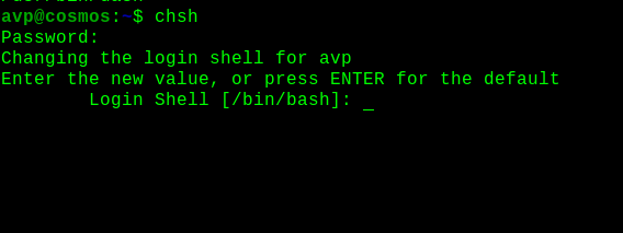 change to a new shell permanently