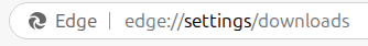 accessing edge downloads settings page