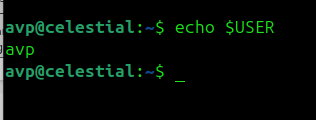 USER environment variable in linux