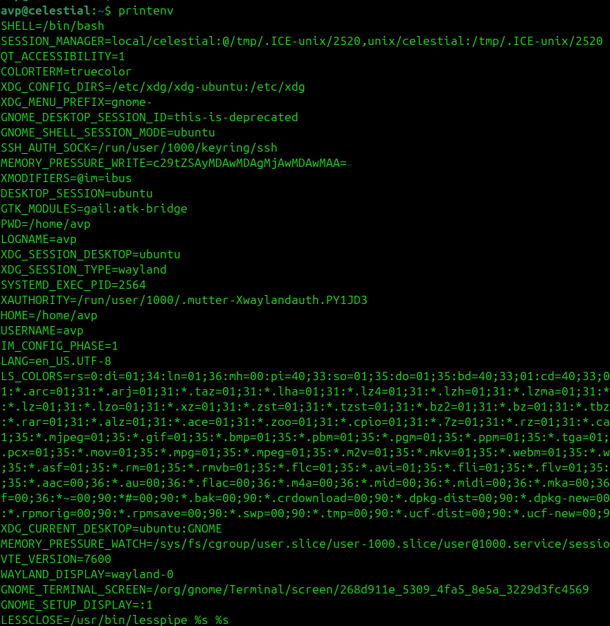 printenv command output in linux