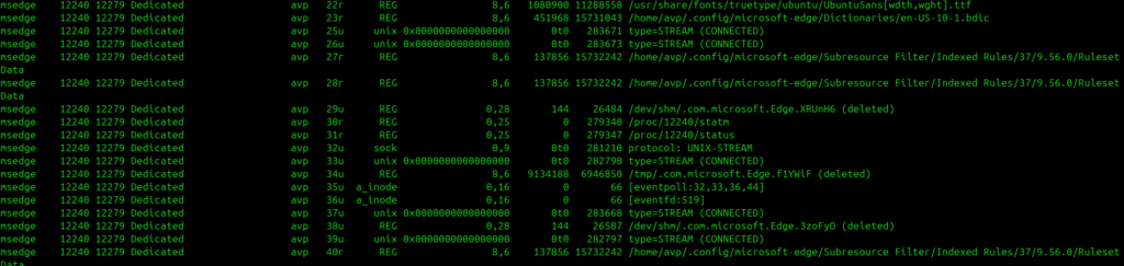 lsof unflitered output