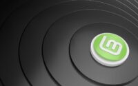 linux mint 22.2