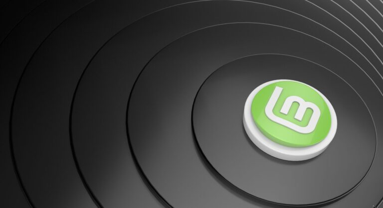 linux mint 22.2