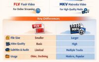 flv vs mkv