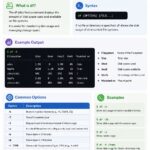 df command in linux