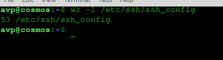 counting lines in configuration file using the wc command